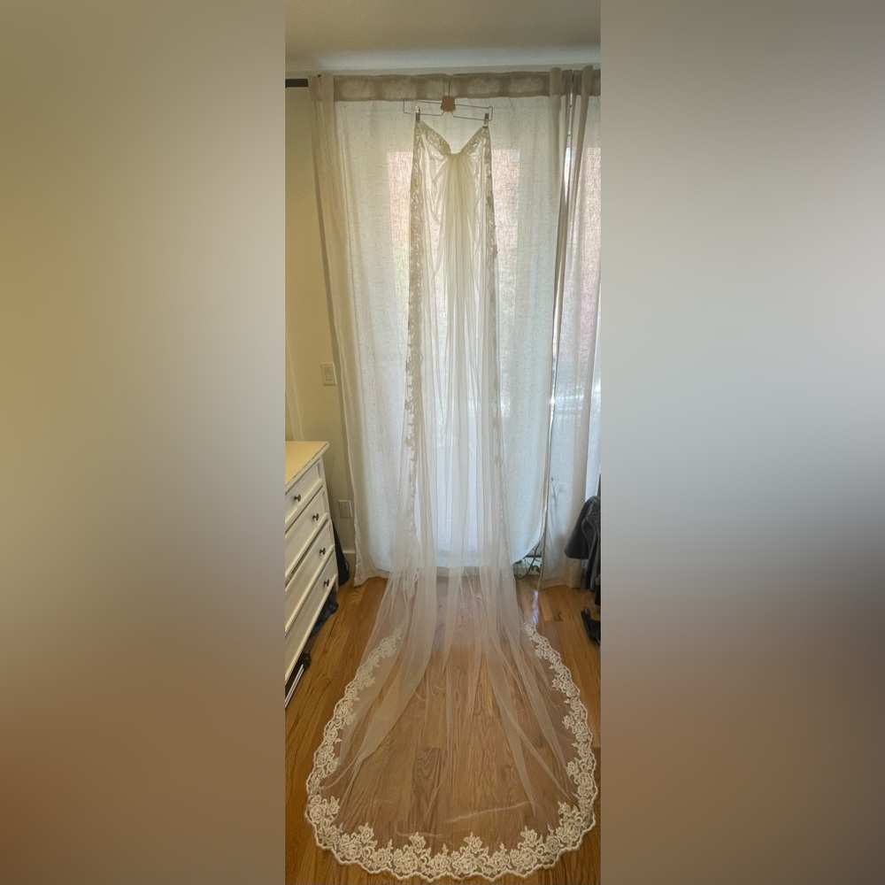 Cathedral lace wedding veil